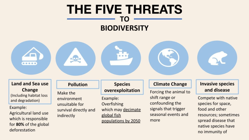 What is the point with biodiversity, and why should we&nbsp;care?